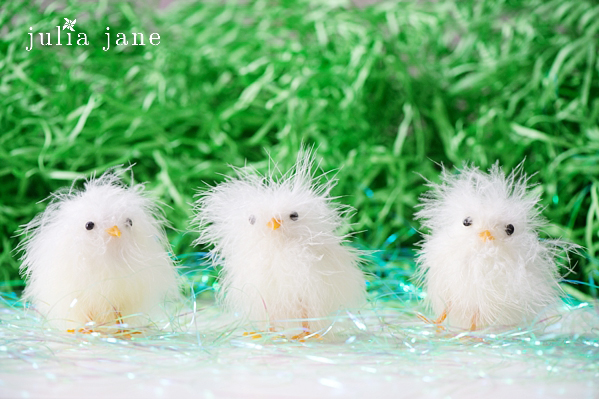 still life photography by connecticut photographer julia jane studios